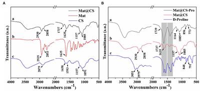 Matrine@chitosan-D-proline nanocapsules as antifouling agents with antibacterial properties and biofilm dispersibility in the marine environment